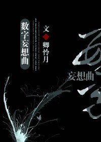【综小说同人BL】数字妄想曲