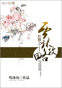 《(红楼同人)红楼之贾环攻略》