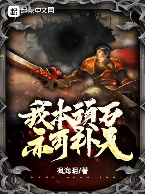 《我本顽石,亦可补天!》