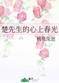 楚先生的心上春光