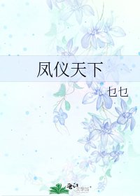 凤仪天下