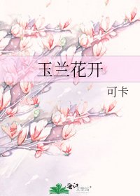 玉兰花开