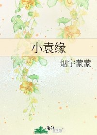 《小袁缘》