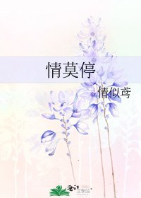 情莫停