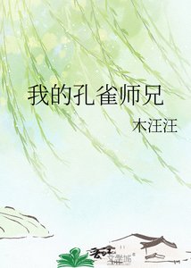 《我的孔雀师兄》