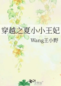 《穿越之夏小小王妃》
