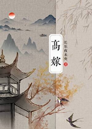 高嫁小夫郎