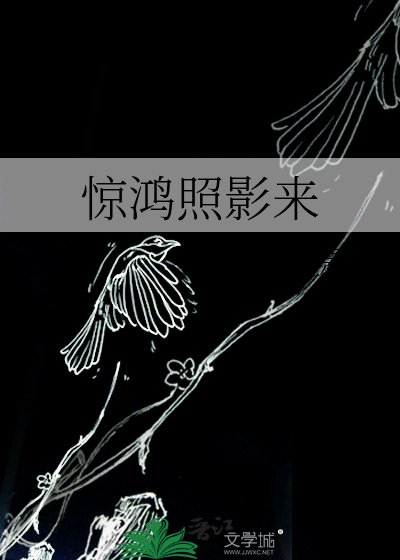 惊鸿照影来