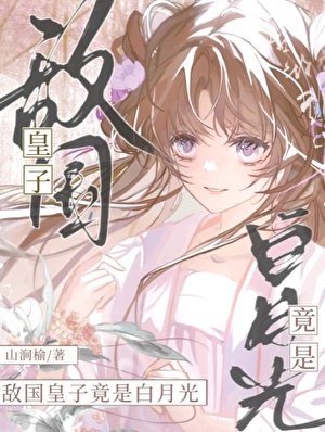敌国皇子竟是白月光