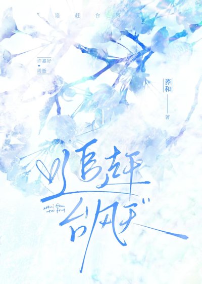 追赶台风天