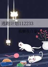 逃跑计划112233