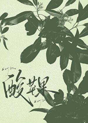 《酸蘋果》