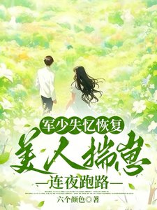 军少失忆恢复,美人揣崽连夜跑路/六零藏区遇谦任,失忆首偿争又抢